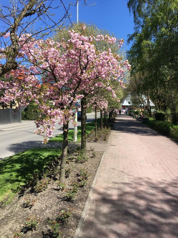 Apartamenty Nad Potoczkiem Устронь Экстерьер фото